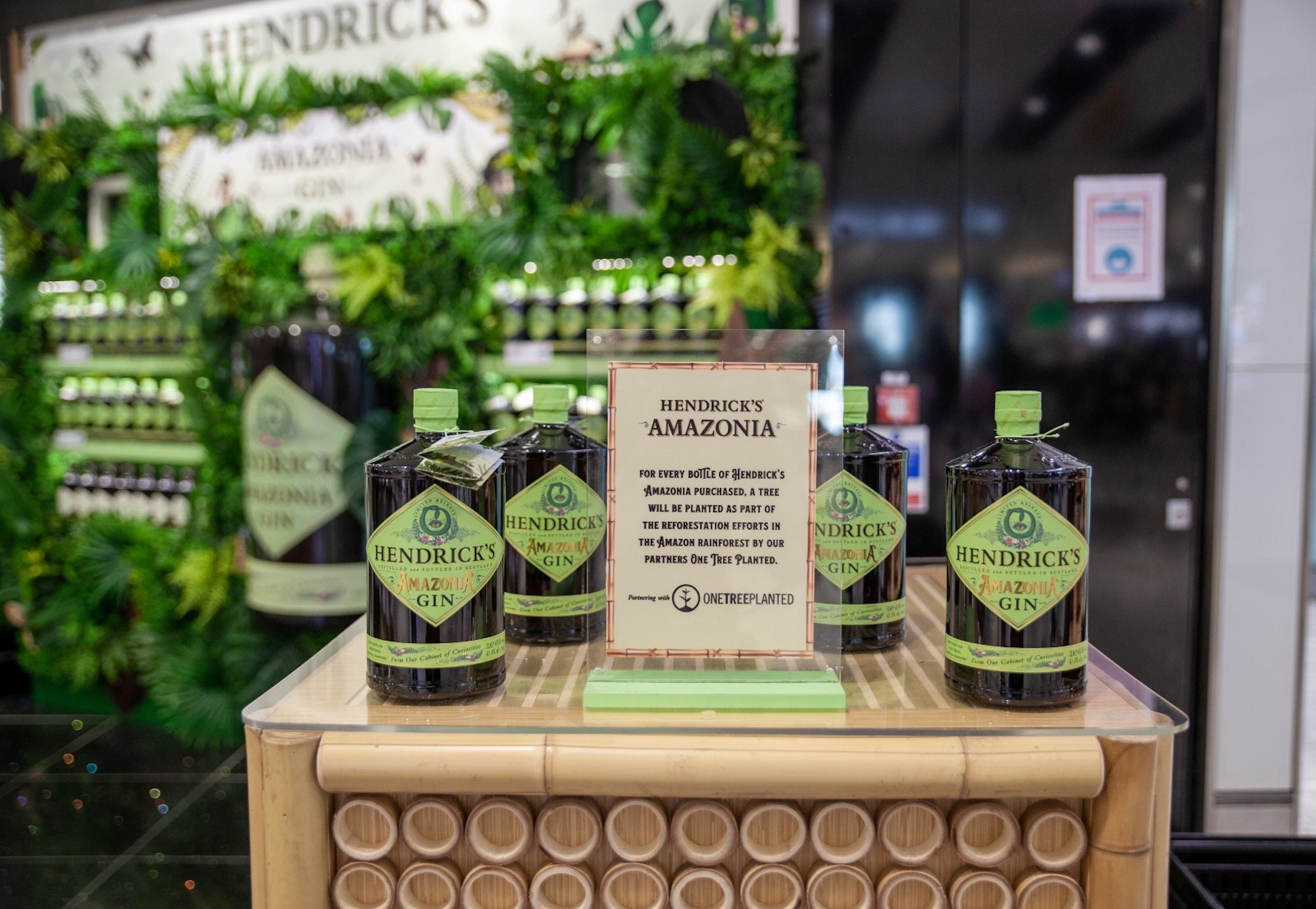 Hendricks Amazonia brand design